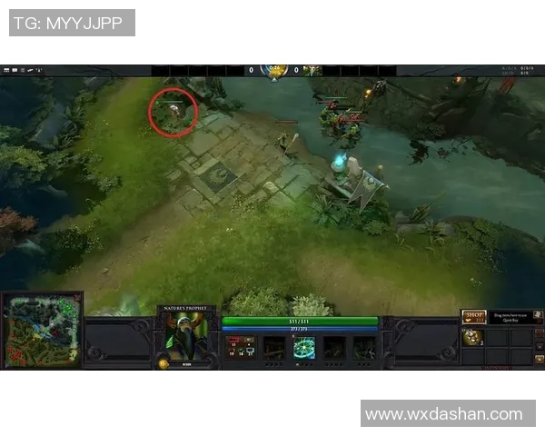 DOTA2分析：V5战队区域防守策略的成功与不足之处探讨