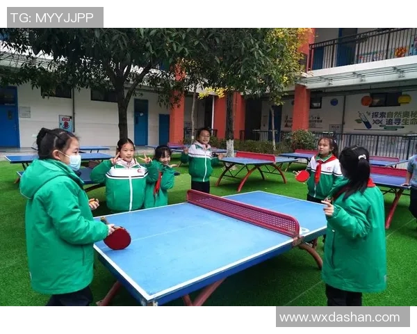 乒乓球的魅力：深入南京乒乓球队的耐力训练与精神探索