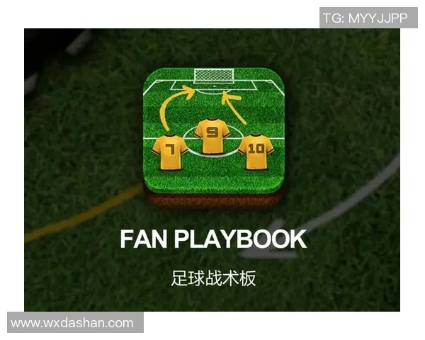 南京足球队的节奏解析与战术深度剖析探秘之旅