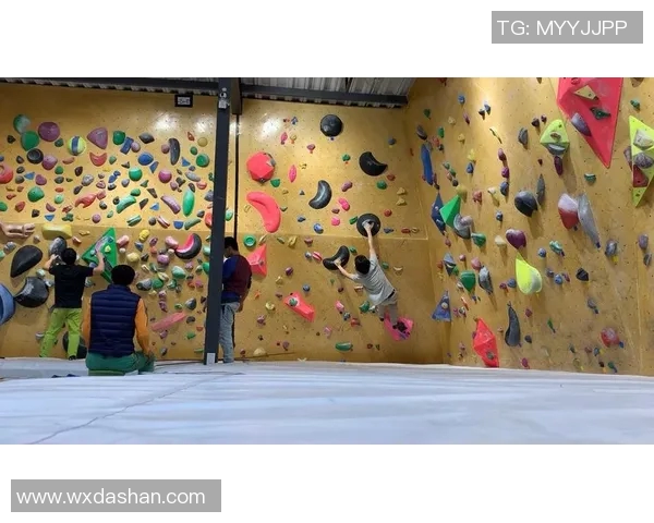 南京攀岩队创新边路渗透战术探索与实践的深度分析与展望