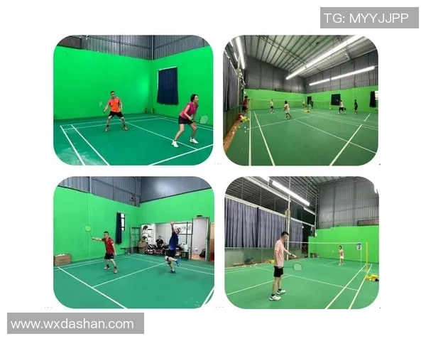 广州羽毛球队战术解析与对比研究揭示团队优势与挑战