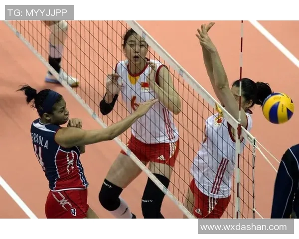 深度对话:王娜如何在排球赛场上书写自己的传奇人生 深度对话:王娜如何在排球赛场上书写自己的传奇人生