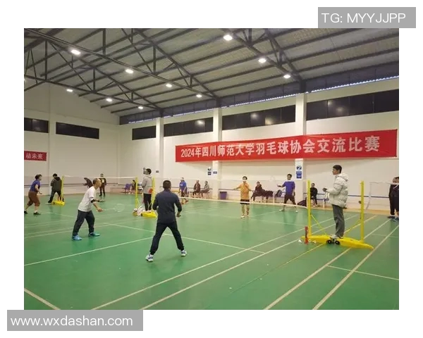 羽毛球盛宴：深入解析广州羽毛球队的训练与竞技状态