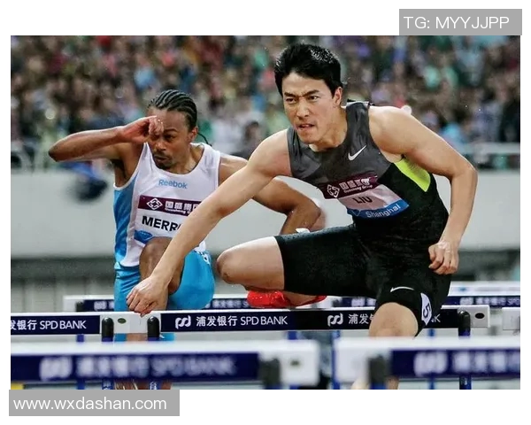 上海网球队的拼搏之路与冠军赛荣耀的背后故事