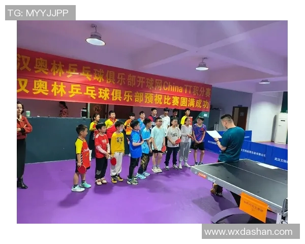 乒乓球盛宴：深入武汉乒乓球队实力与训练揭秘之旅