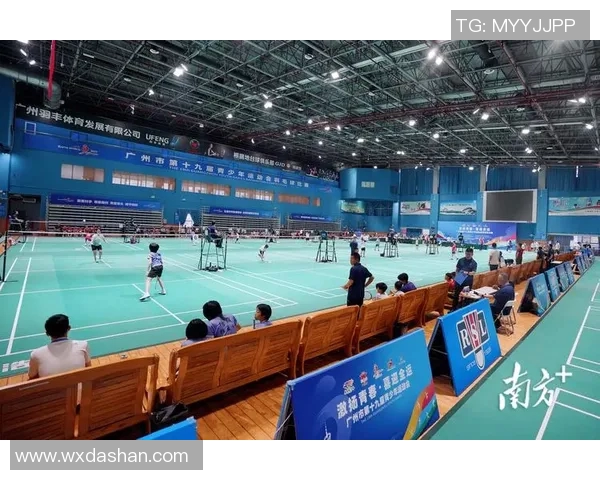 全运会回顾：北京羽毛球队意识表现的深度分析与启示