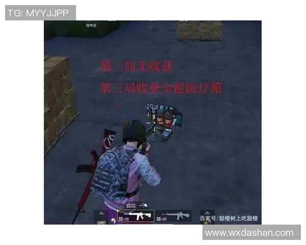 专访赵芳:深入剖析和平精英背后的成功秘诀与发展策略 专访赵芳:深入剖析和平精英背后的成功秘诀与发展策略