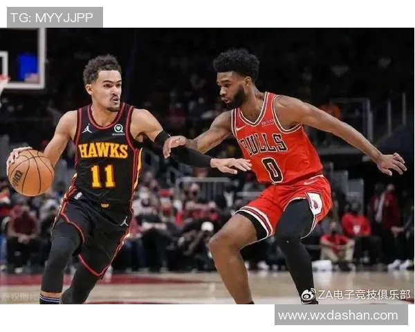 公牛与老鹰对决分析及比赛推荐策略详解