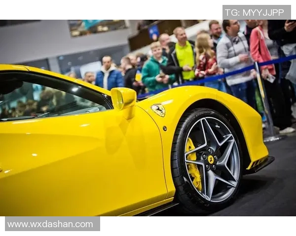 厄德高在国际舞台上的崛起与影响力分析：从球场到社会的多重角色