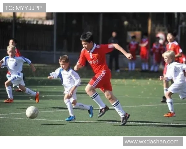 北京网球队的阵地战解析与未来发展展望MBA