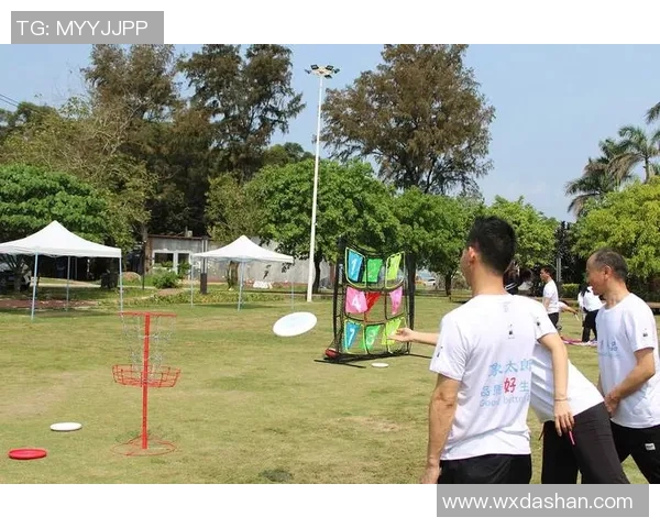 飞盘战术解析：深入探讨成都飞盘队的区域防守策略与实践MBA