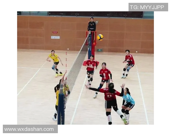 重庆排球队的转型之路：深度解析排球战术与团队协作的变革