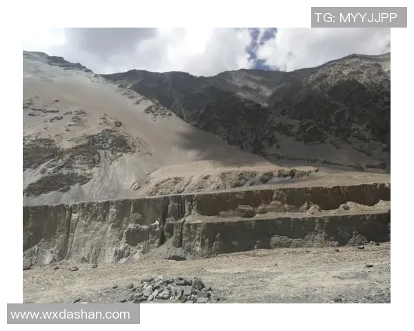 深度探讨刘强在DOTA2世界中的成长与挑战之路