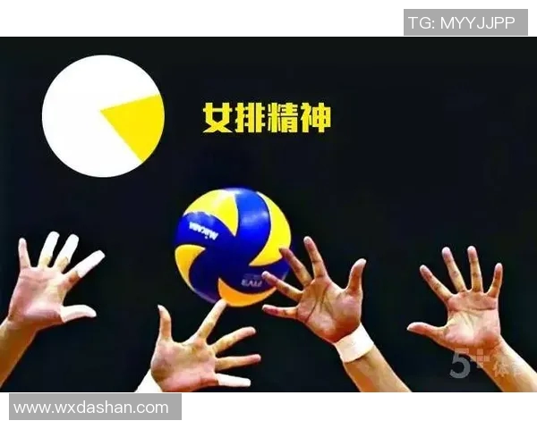武汉排球队的默契配合与战术分析探讨排球运动的魅力与团队精神