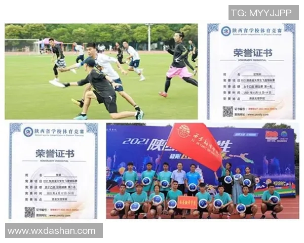 飞盘人生的追逐与坚持陈伟分享他的飞盘故事与成长历程